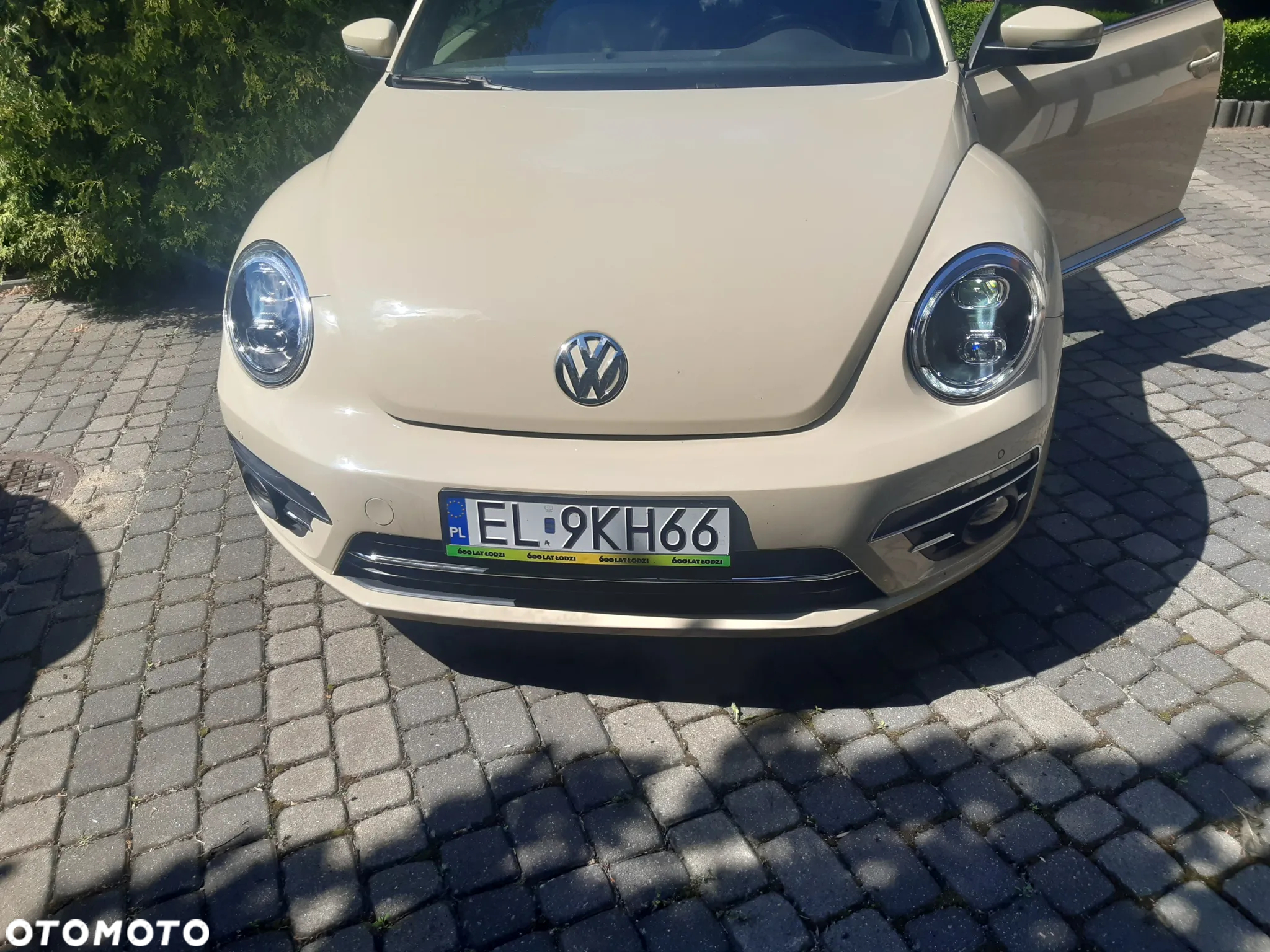 Volkswagen Beetle - 27