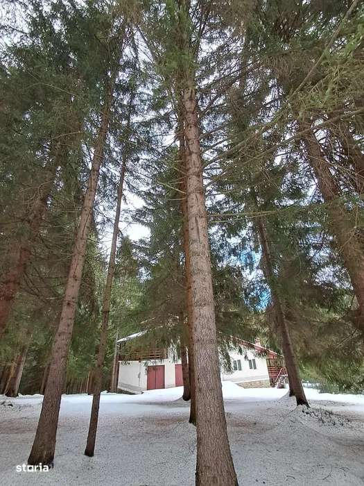 Casa de vacanta l la cheie l 2000 mp teren intravilan l Calatele Padur
