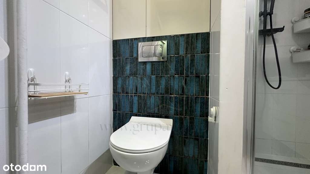 Mieszkanie, w którym kot jest prezesem-5