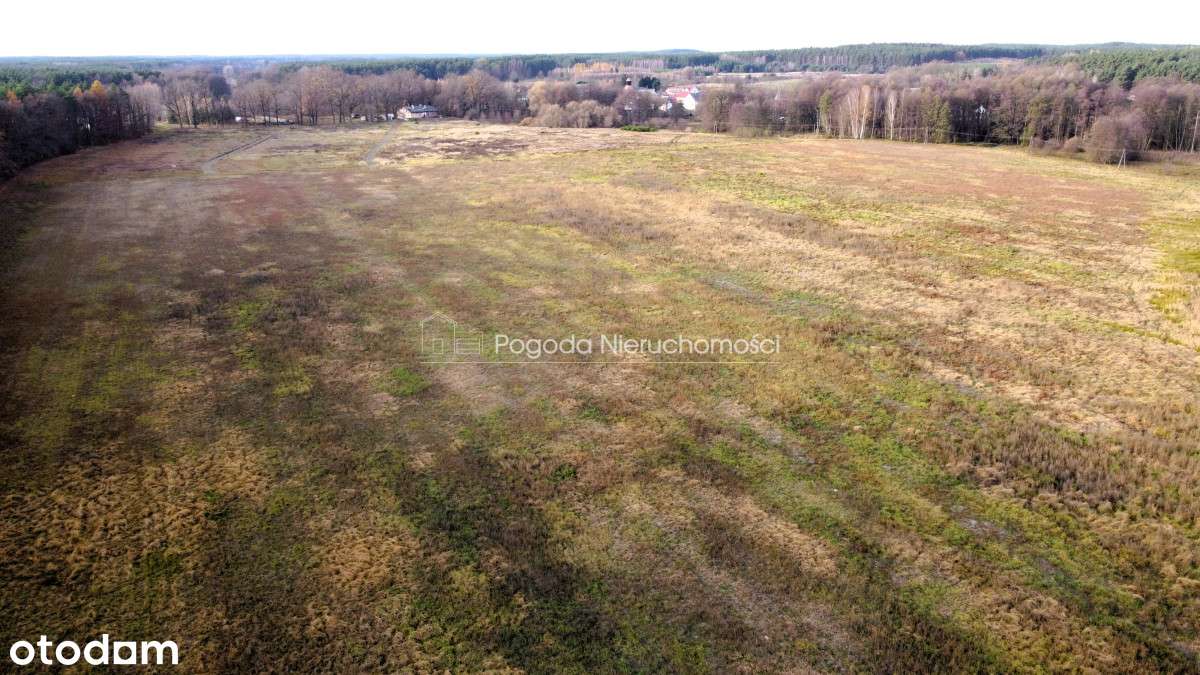 Działki na sprzedaż - Trzebule-9