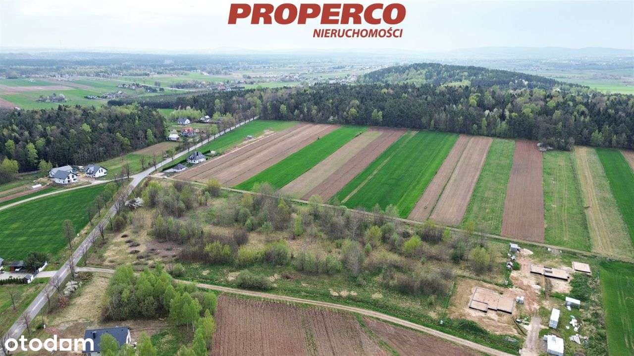 Działka 1306m2, Oblęgorek, gm. Strawczyn (media) - Pełny obrazek: 4/9