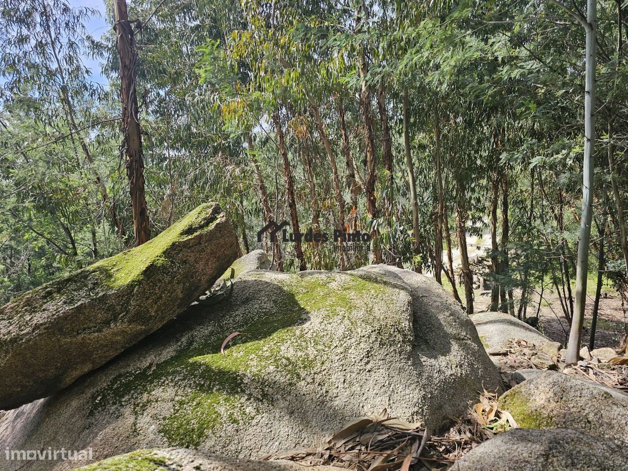 Quinta na Serra da Gardunha - Grande imagem: 18/18