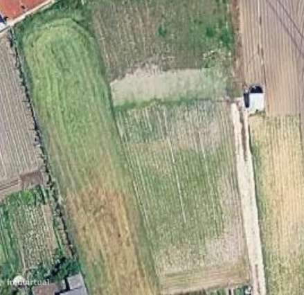 TERRENO À VENDA – ÓTIMA OPORTUNIDADE! - Grande imagem: 4/8