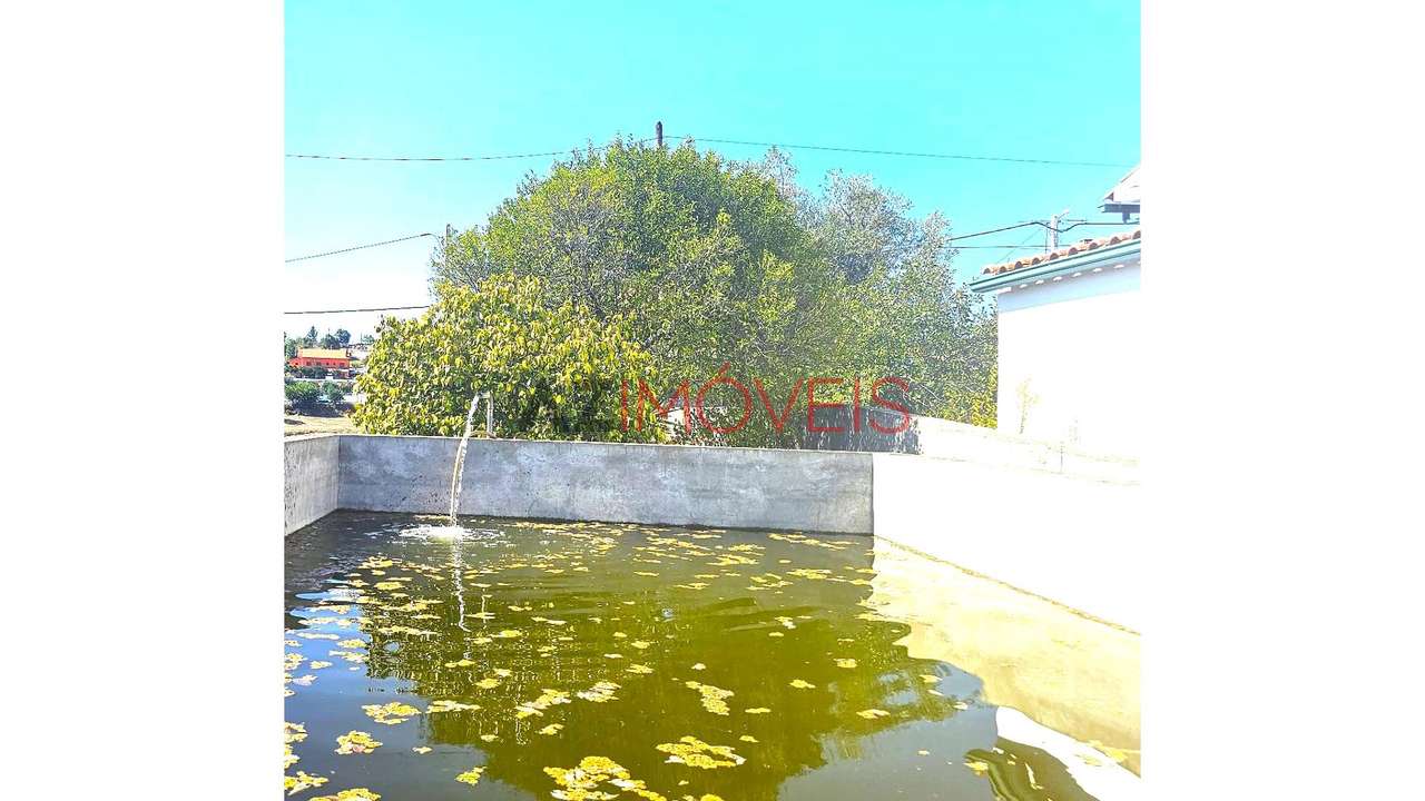 Moradia Rústica T2+1 Terreno com 3.480m2-25