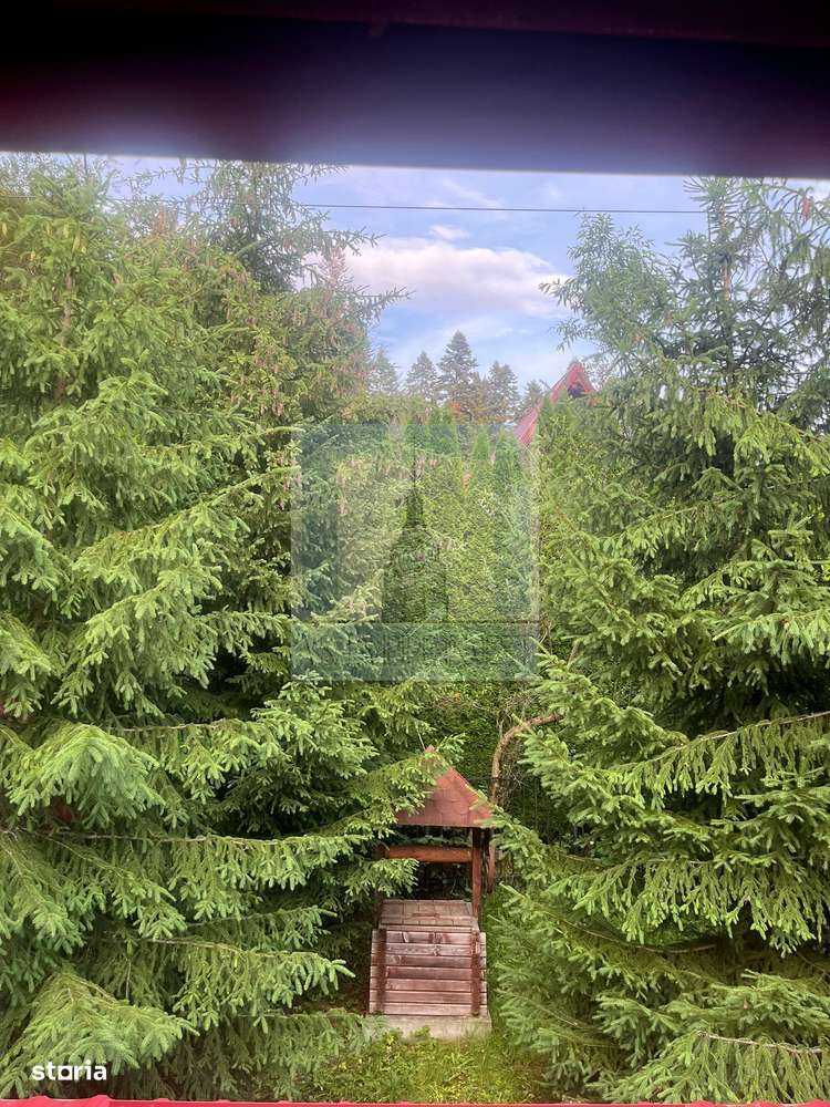 Casa/Vila de vanzare in Predeal - Imagine principală: 3/20