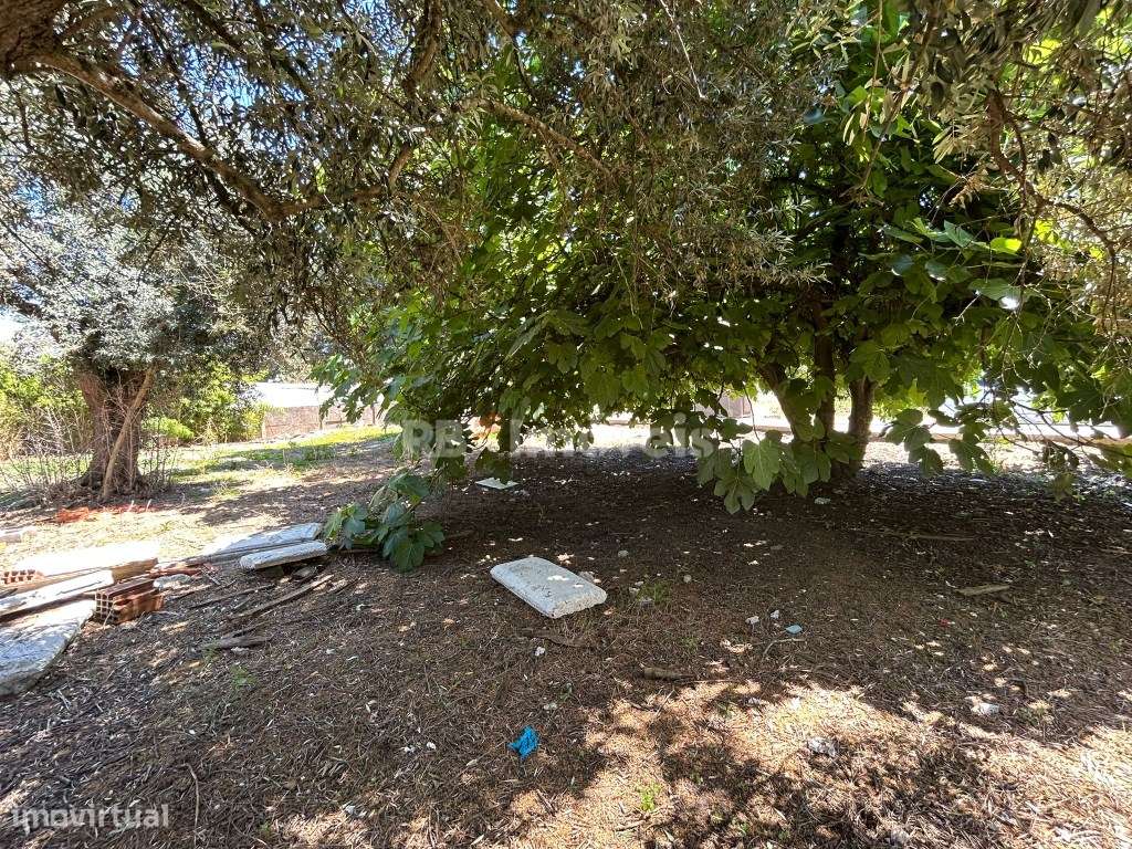 Lote de terreno para construção, na zona norte da cidade - Grande imagem: 4/7