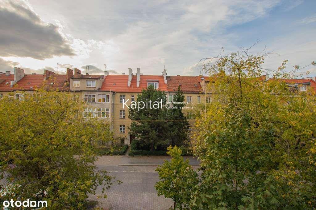 Borek | spokojna boczna uliczka | piwnica | strych - Pełny obrazek: 1/13