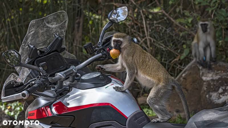 Ducati Multistrada - 10