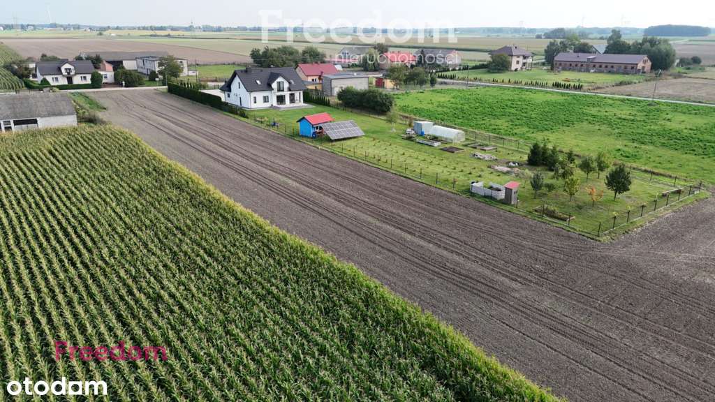 Duża działka blisko Płocka - Pełny obrazek: 5/8