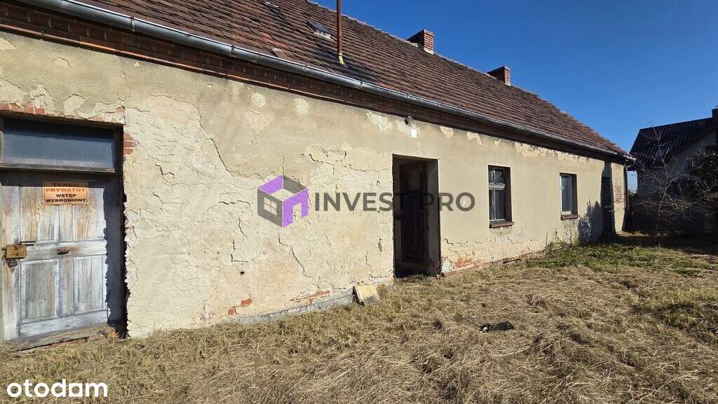 57 arów - dużo pola do popisu... - Pełny obrazek: 5/13