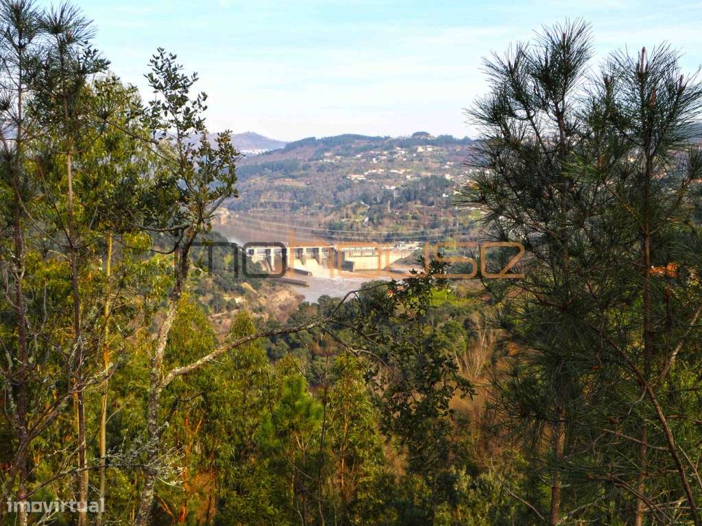Quinta de 5.6 ha - Varias edificações, ribeiro e vista Douro-20