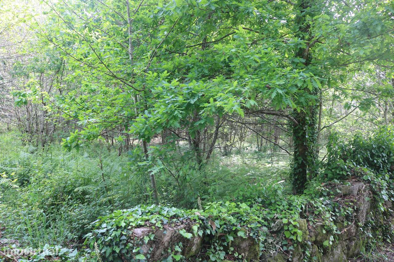 Moradia isolada com jardim e terraço em Amares-17