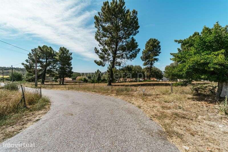 Terreno Urbano / Belmonte, Colmeal da Torre - Grande imagem: 4/9