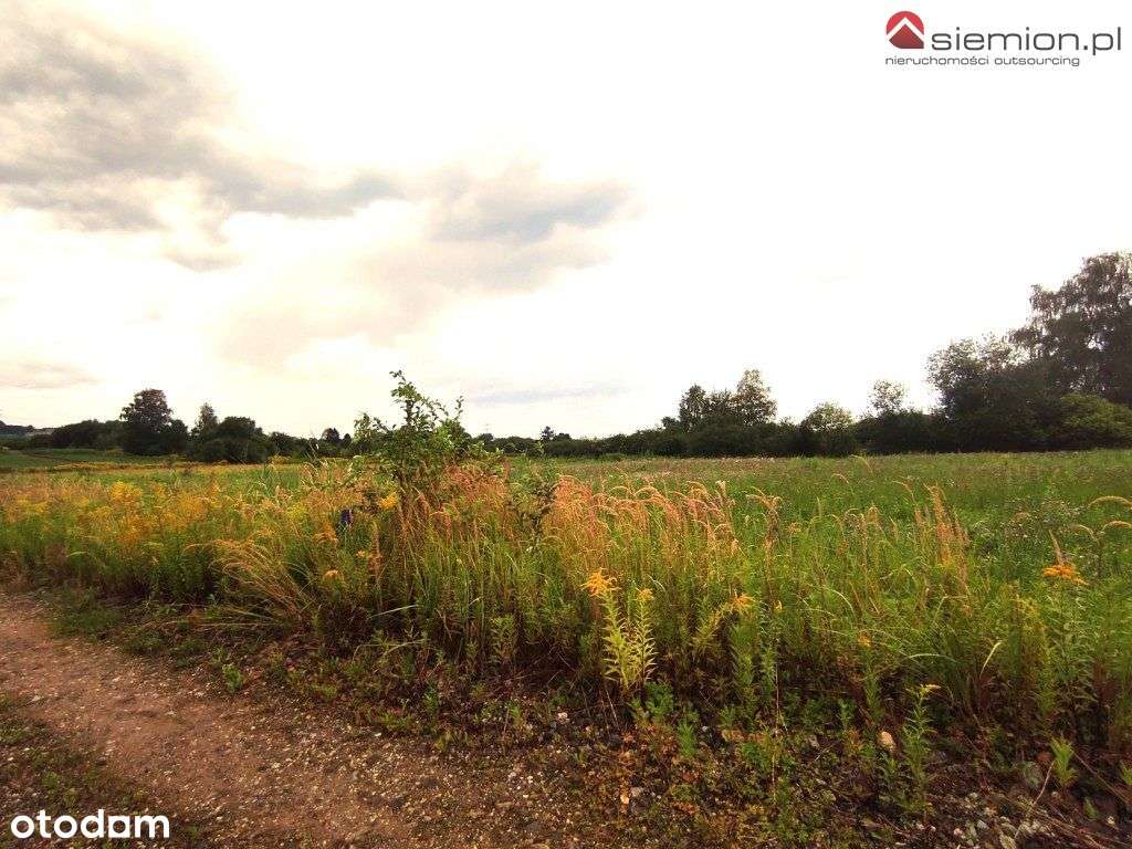 Działka budowlana pod lasem - Pełny obrazek: 5/11