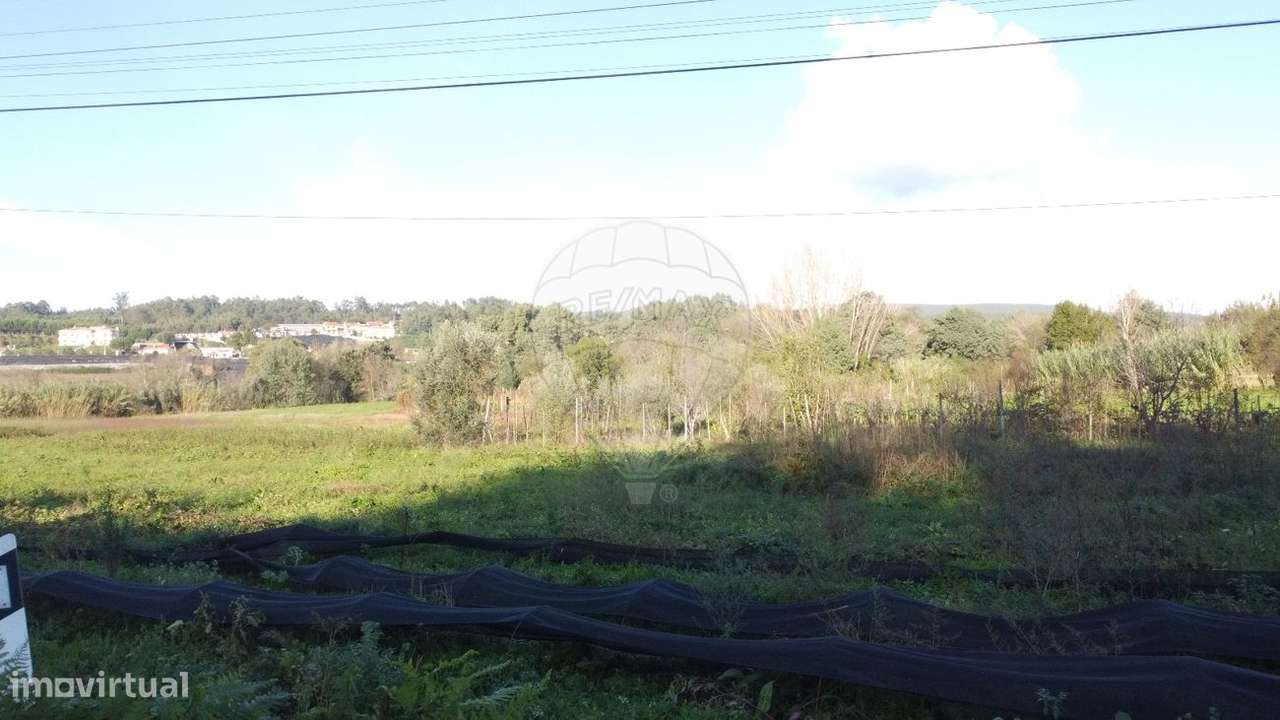 Terreno  para venda - Grande imagem: 4/4