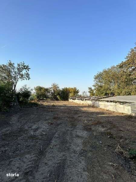 Vand teren intravilan Com Olari - Imagine principală: 4/7