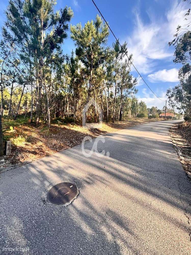 VIEIRA DE LEIRIA---Terreno com a área de 1240 m2, inserido no aglomera-6