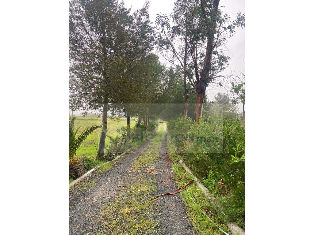 Quintinha de charme com 1,7 ha, capela privada e abundância de água...-24