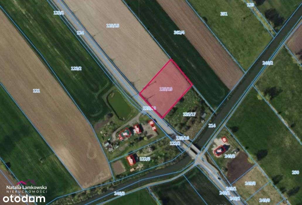 Szynych*działka rolna z możliwością podziału - Pełny obrazek: 4/5