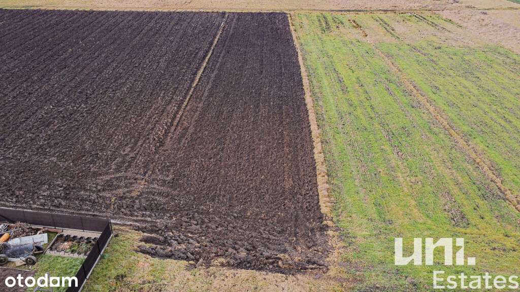 Dom wolnostojący/ Zabudowania/ Drwinia/Bochnia - Pełny obrazek: 5/8