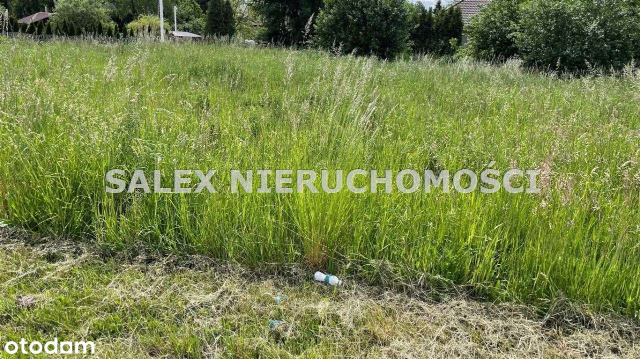 Działka, Radlin, 903m2-160.000zł - Pełny obrazek: 3/4