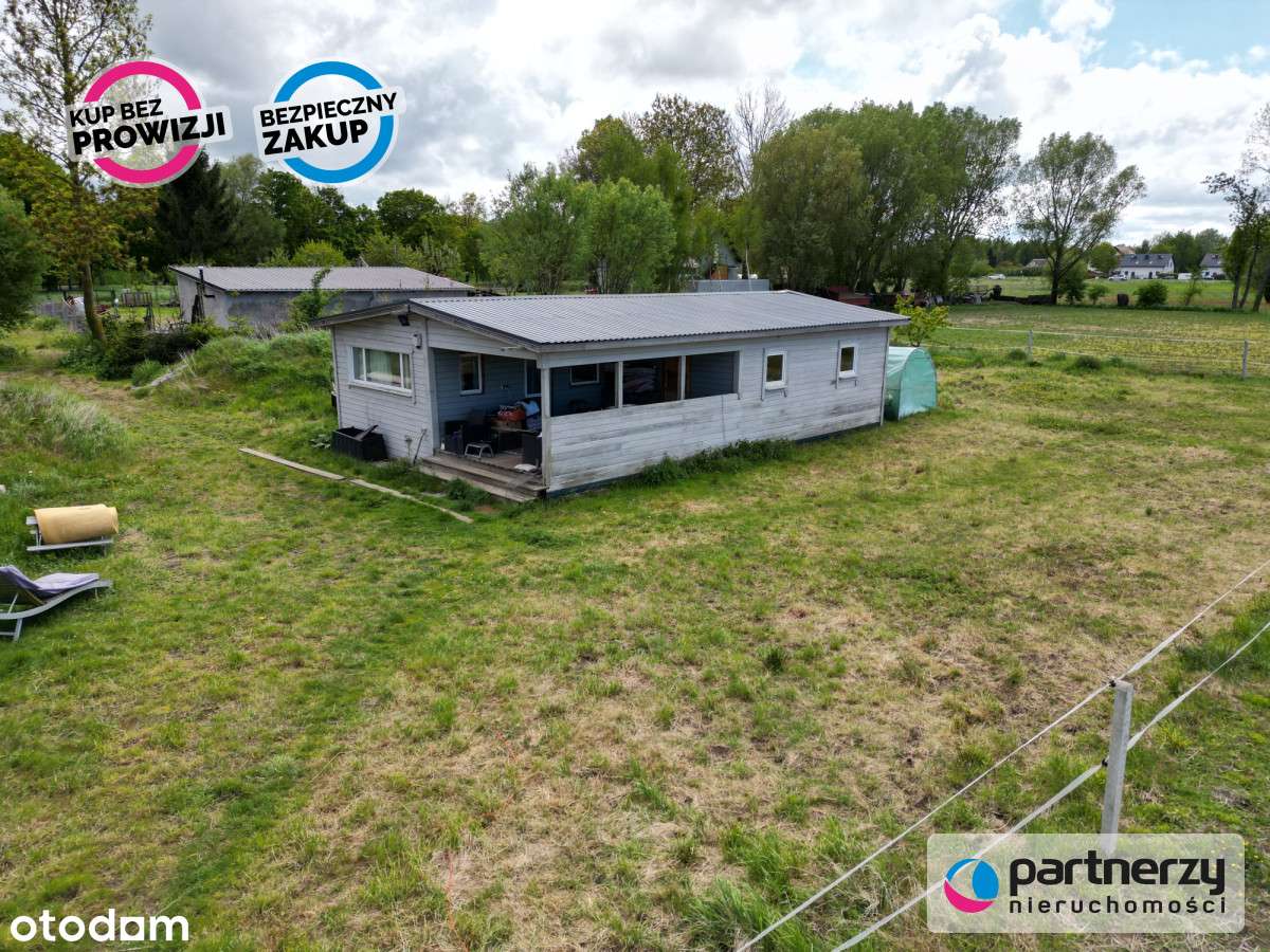 Przemysław/ Stadnina Koni/ stajnia/ siedlisko - Pełny obrazek: 4/8