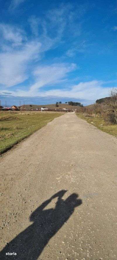 Teren 400 mp Sanpetru Intravilan - Imagine principală: 3/4