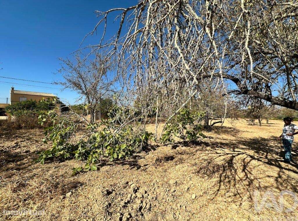 Terreno em Luz de Tavira e Santo Estêvão de 6820,00 m2 - Grande imagem: 5/5