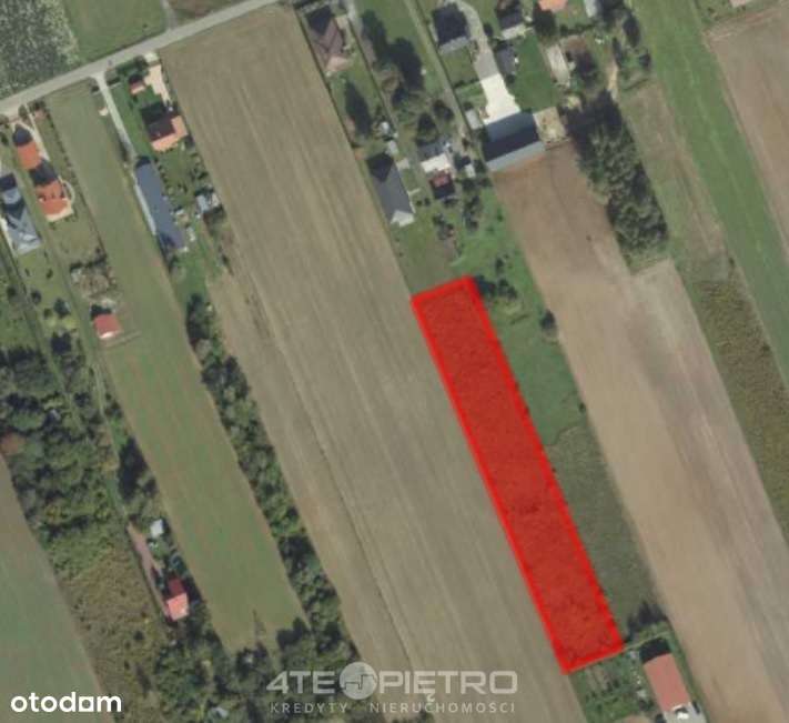 Działka rolno-budowlana 43 ar - Pełny obrazek: 2/4