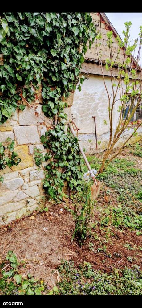 Spokojne miejsce pod agroturystykę-6