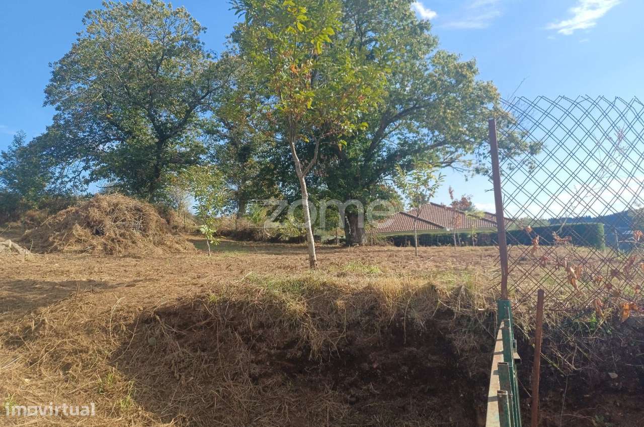 Terreno para construção em Gontães - Grande imagem: 3/9
