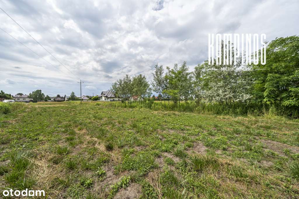 388/12317/OGS - Pełny obrazek: 5/6