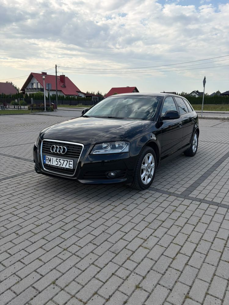 Audi A3 8P (2003-2012) 2009
