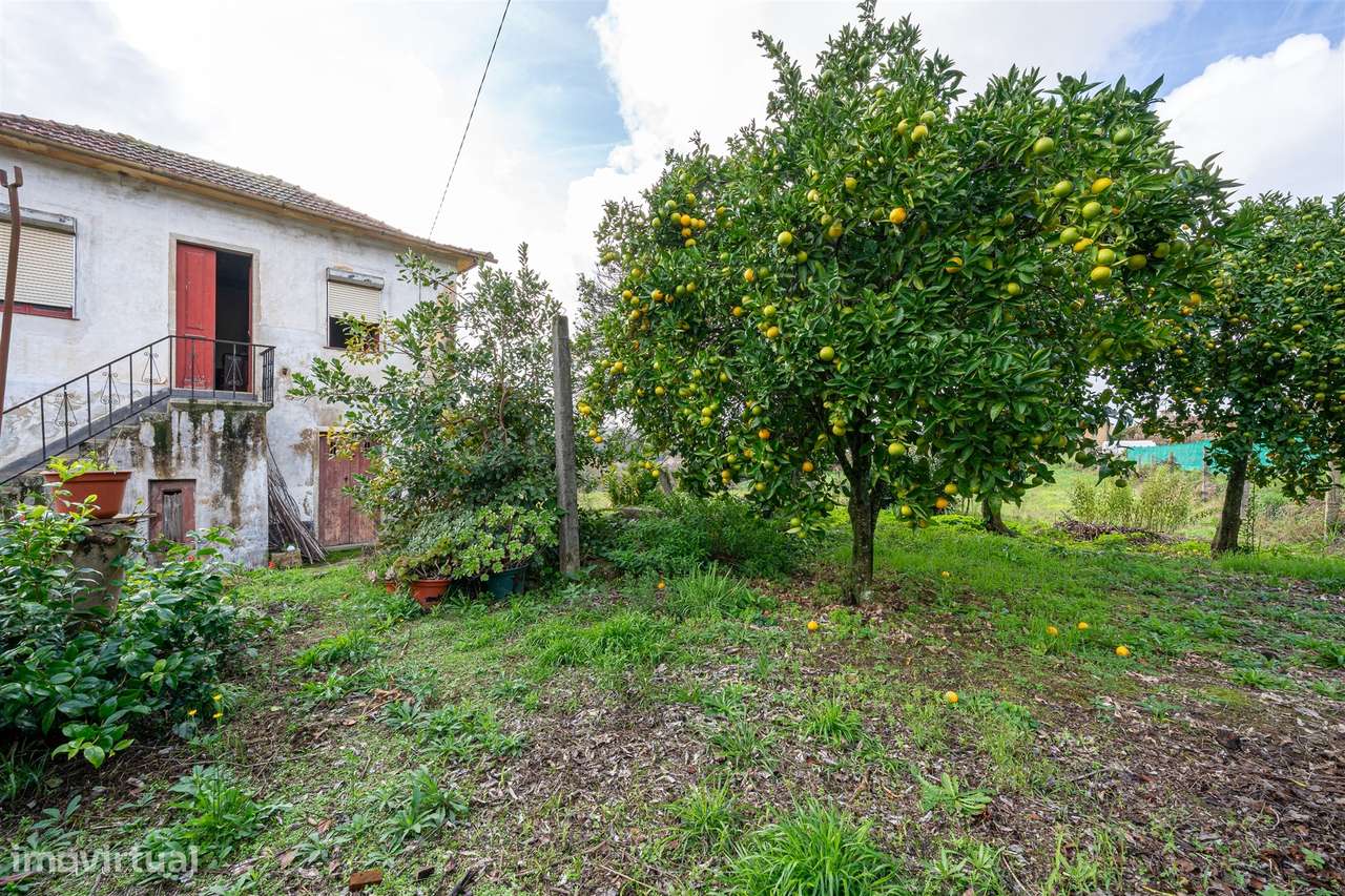 Moradia Isolada T2 Venda em Pinheiro da Bemposta, Travanca e Palmaz,Ol-28