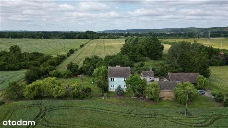 Dom w otoczeniu pól,10 km od Gorzowa Wlkp. - Pełny obrazek: 5/20