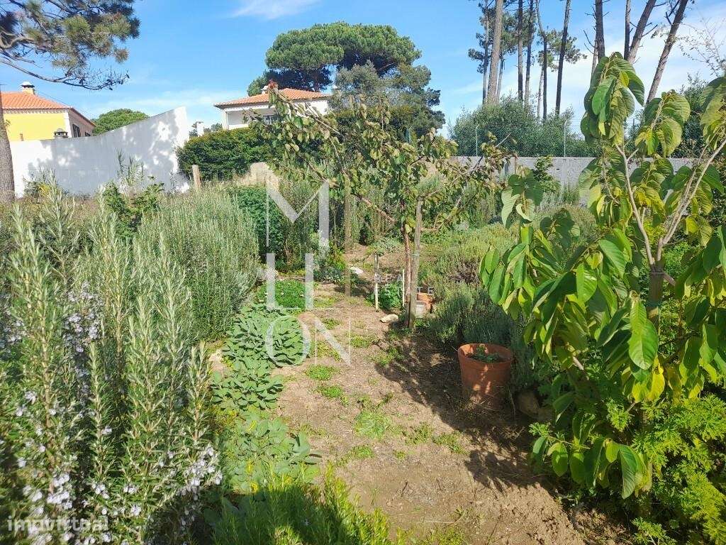 Terreno com projeto aprovado Colares, Sintra - Grande imagem: 4/38