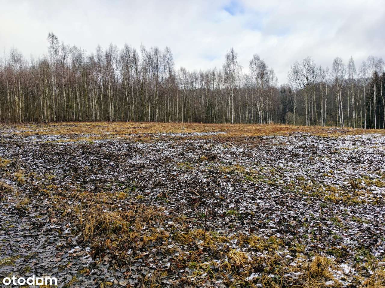 działka w lesie|MPZP| zabudowa jednorodzinna| dobry dojazd z WRO| góry-0