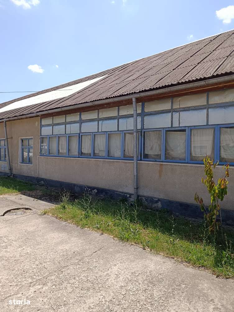 Teren-14305mp, pt o Investitie Brownfield, centura Oradea_intravilan-2