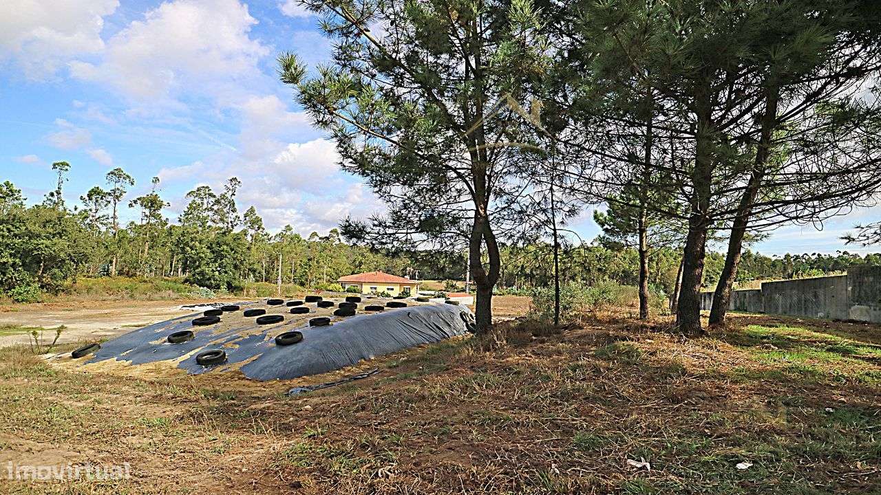 Terreno 20.000m/2 Macieira da Maia-14