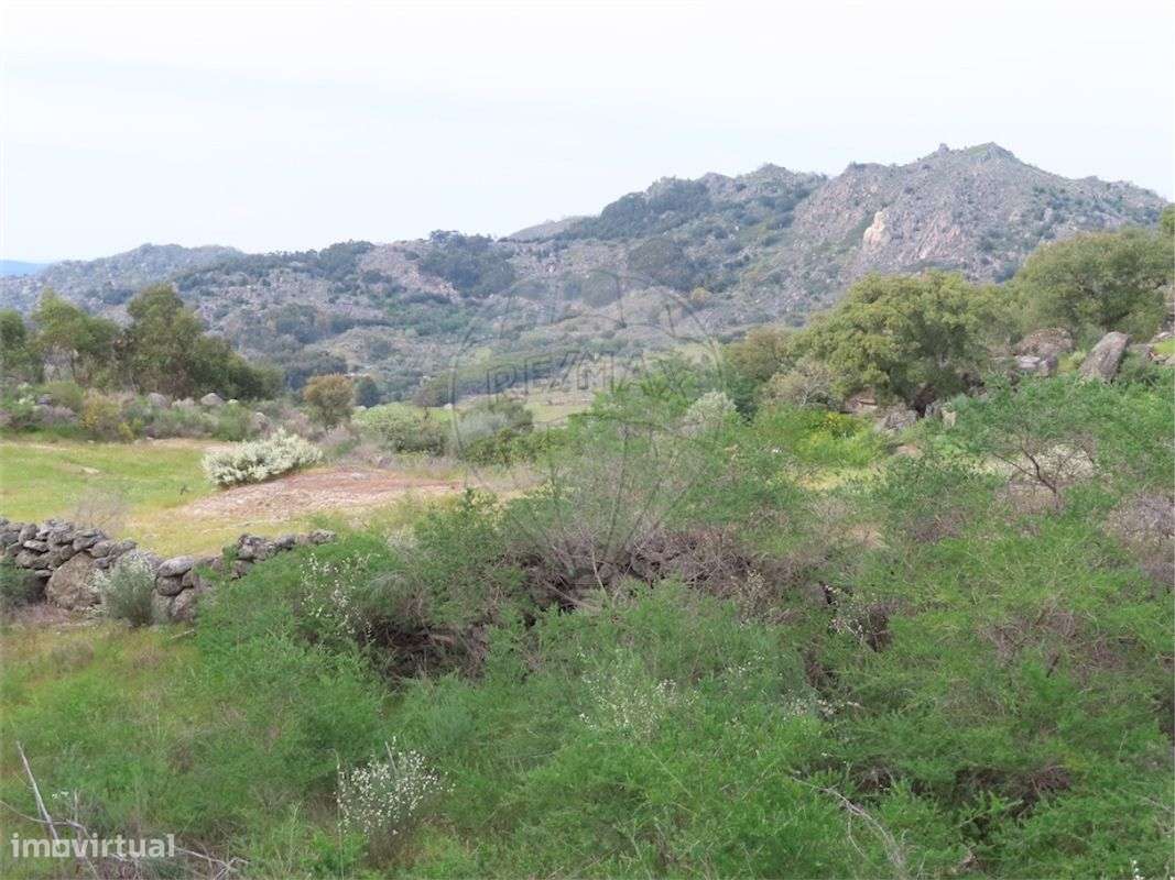 Quinta  para venda - Grande imagem: 5/28