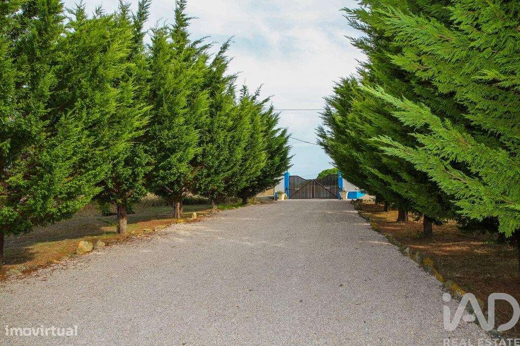 Quinta T4 em Reguengo Grande de 285,00 m2 - Grande imagem: 5/30