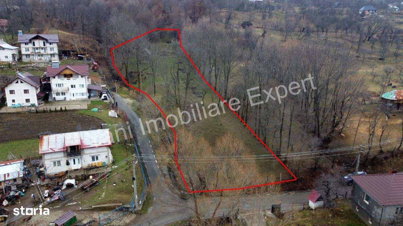 Teren de vânzare în comuna Arefu, județ Argeș ( Transfăgărășan ) - Imagine principală: 2/20