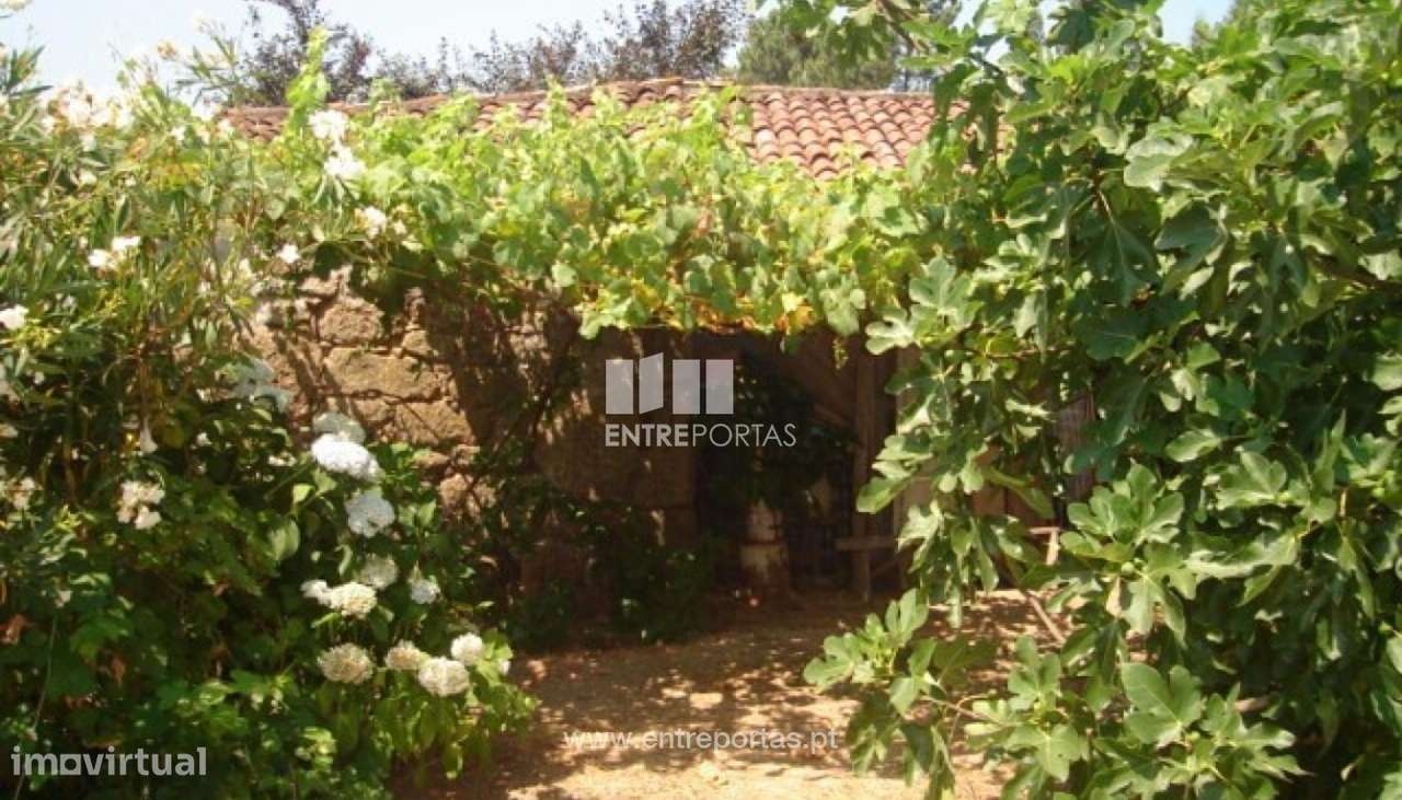 Venda de Terreno, Barroselas, Viana do Castelo - Grande imagem: 4/5