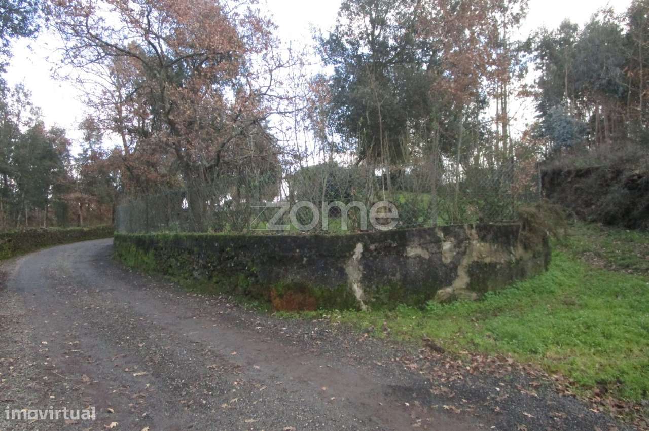 terreno rústico com 2 600 M2 em Palmeira Santo Tirso -Porto - Grande imagem: 3/15