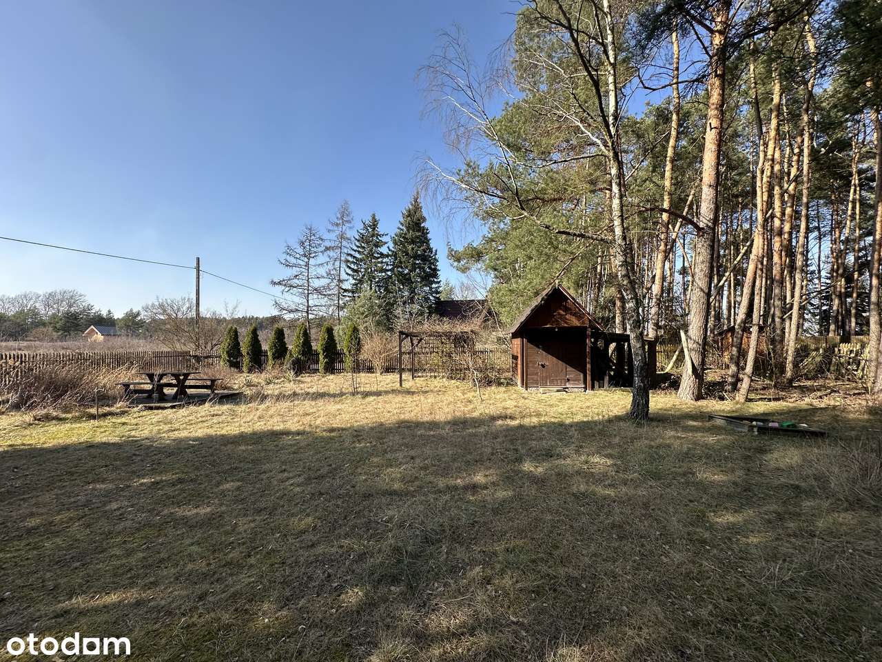 Klimatyczna działka 1620 m² z domkiem w lesie w Kamieńczyku - Rafa - Pełny obrazek: 5/10