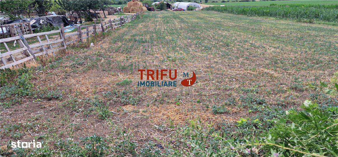 Teren de vanzare - Imagine principală: 3/6