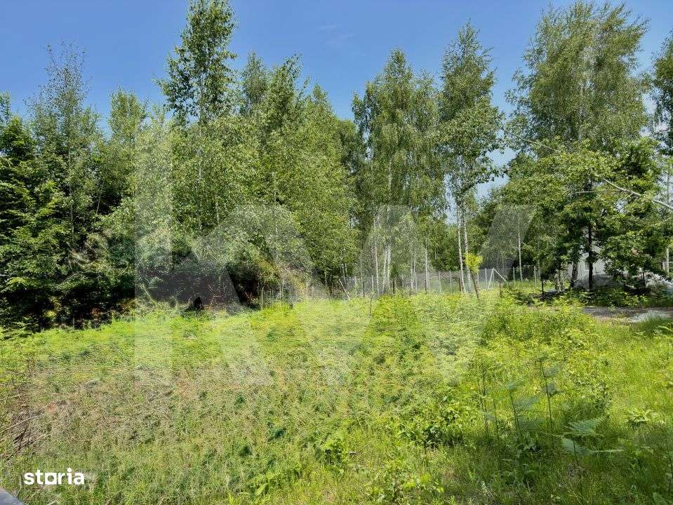 Teren de vanzare 500mp in spate la BRAMBURA PARK Valea Avrigului-1