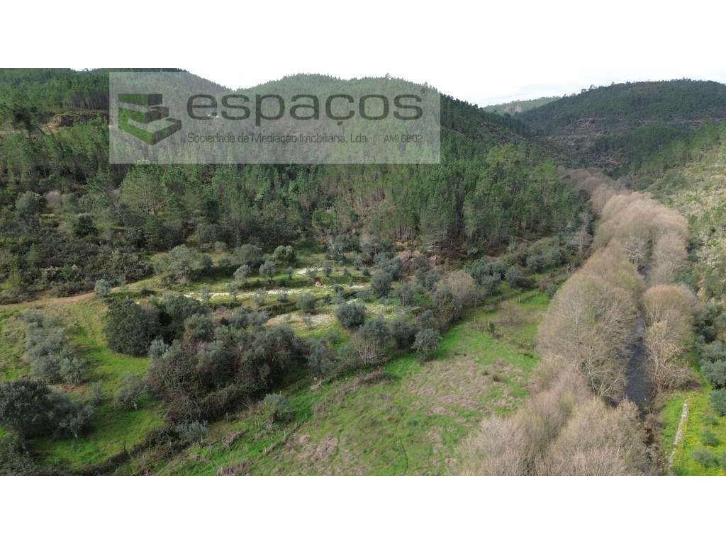 Terreno próximo da Ribeira do Alvito - Grande imagem: 2/6