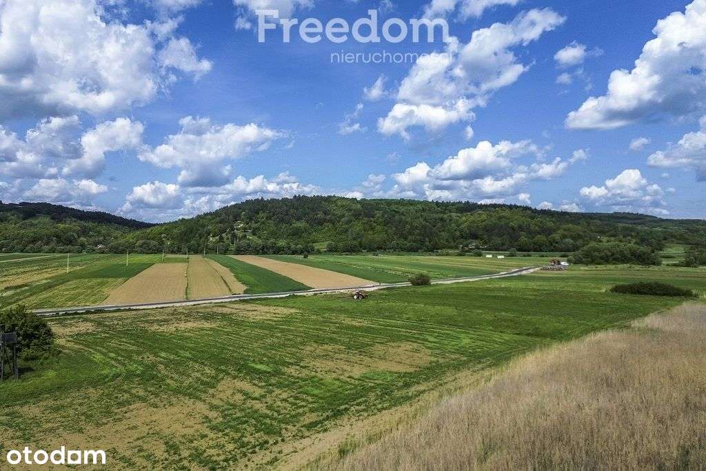 Działka 79 ar z Wz w Bachowie, gm. Krzywcza - Pełny obrazek: 5/13