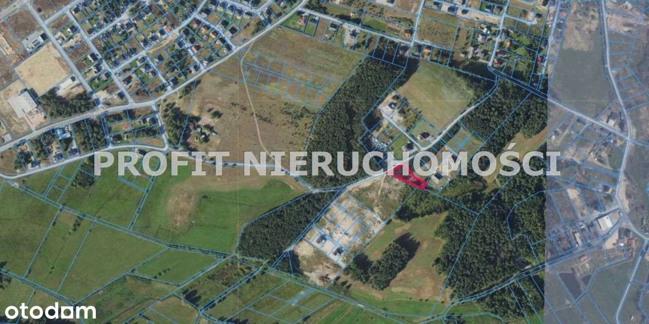 Działka niedaleko jeziora w otulinie lasu - Pełny obrazek: 4/8